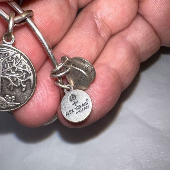 Alex And Ani Boston Tree Of Life Bracelet With Charm Rafaelian Silver - Picture 5 of 6